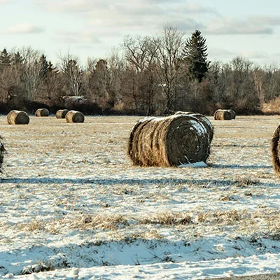 Mac SSR | 10月19日22M/S|免费V2ray节点/SSR节点/Singbox节点/Shadowrocket节点/Clash节点订阅节点分享