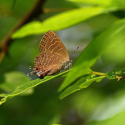 V2Ray无法访问YouTube的深度解析与全方位解决方案