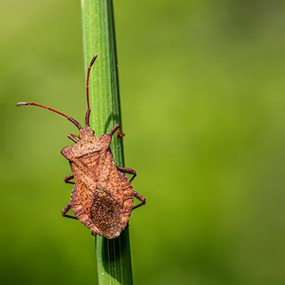 Mac SSR | 10月20日21M/S|免费V2ray节点/SSR节点/Clash节点/Shadowrocket节点/Singbox节点订阅节点分享