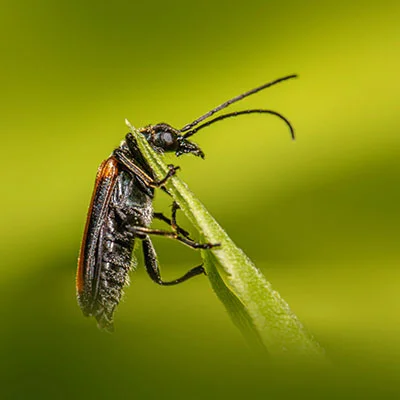 Mac SSR | 9月14日21.5M/S|免费V2ray节点/Shadowrocket节点/Clash节点/SSR订阅节点分享